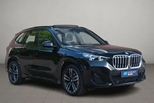 BMW X1 xDrive25e 245pk Aut. M-Sport | Panoramadak | HUD | Driving Assistant Professional | Parking Assistant Plus | 19 inch velgen